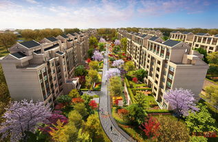 上海首創(chuàng)禧悅·晴朗 全景解析配套實景、樣板間與戶型設計